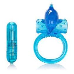 Anillo erectante